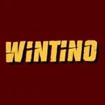 Wintino logo